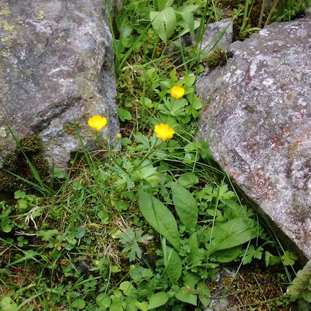 Landhaus Tirol Zellberg Bagian luar foto