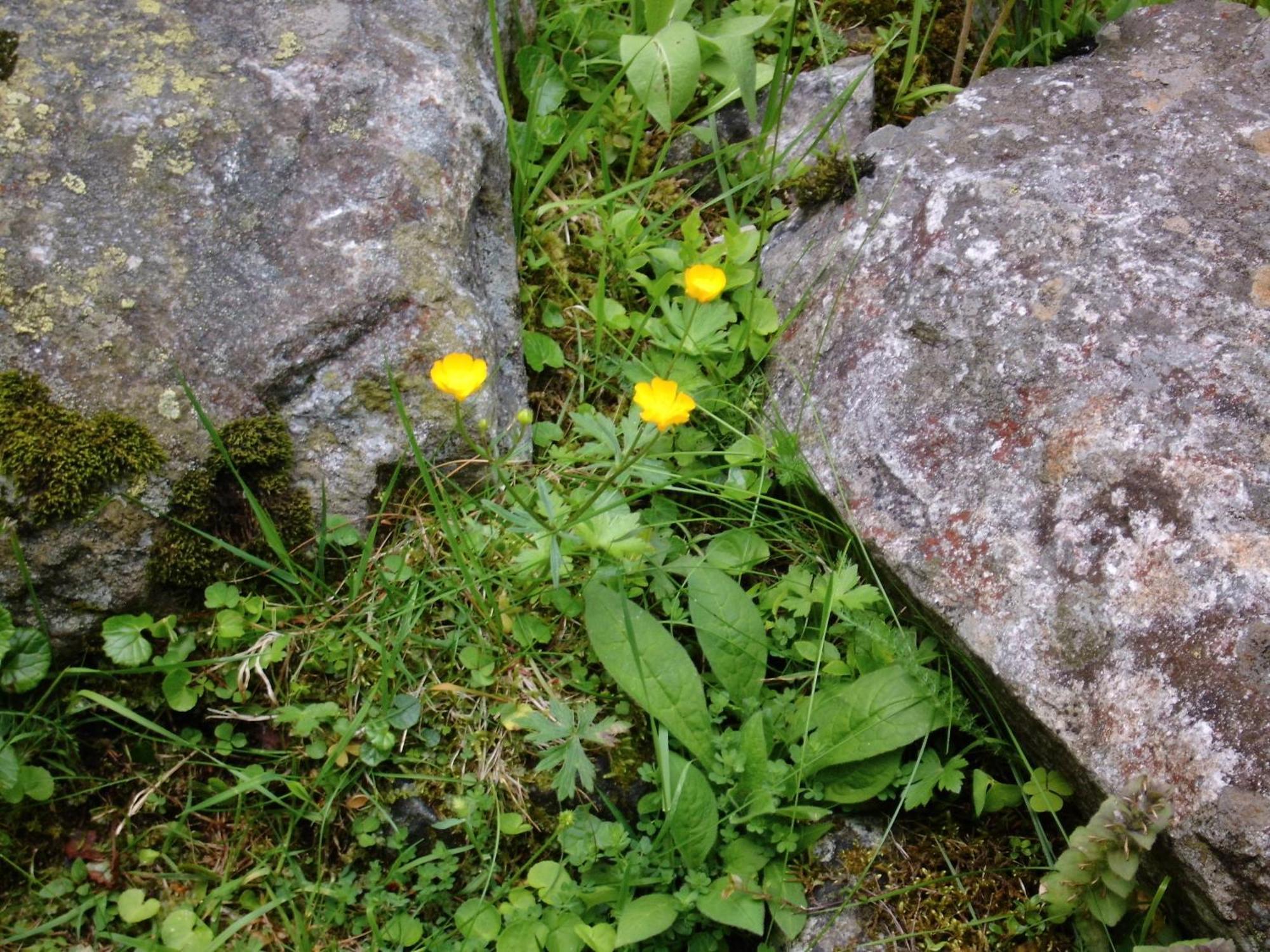 Landhaus Tirol Zellberg Bagian luar foto