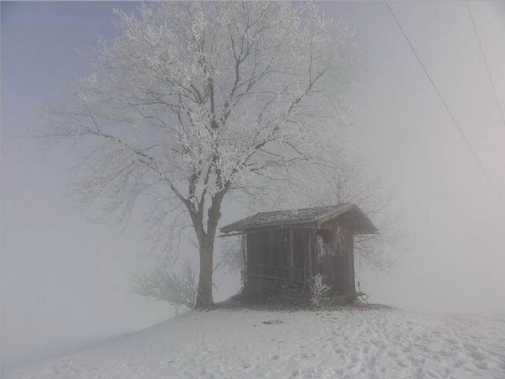 Landhaus Tirol Zellberg Bagian luar foto