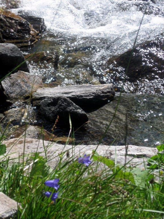 Landhaus Tirol Zellberg Bagian luar foto