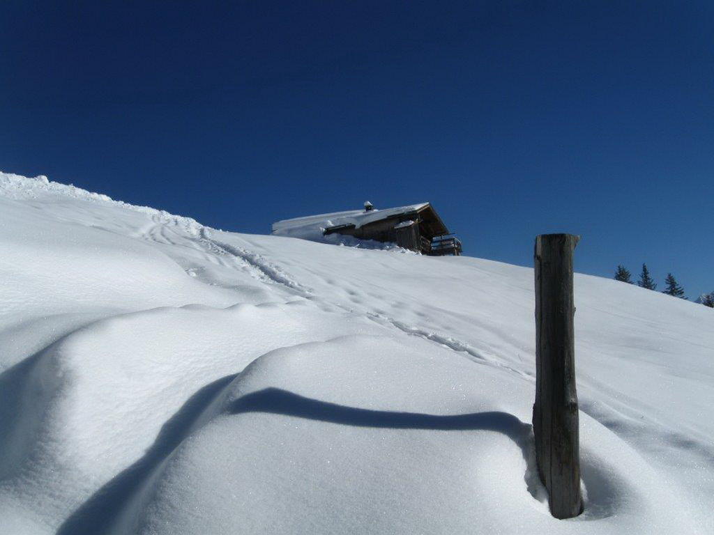 Landhaus Tirol Zellberg Bagian luar foto